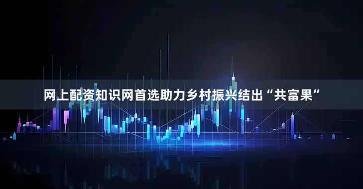网上配资知识网首选助力乡村振兴结出“共富果”