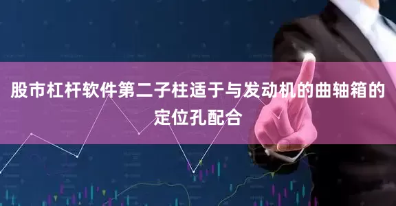 股市杠杆软件第二子柱适于与发动机的曲轴箱的定位孔配合